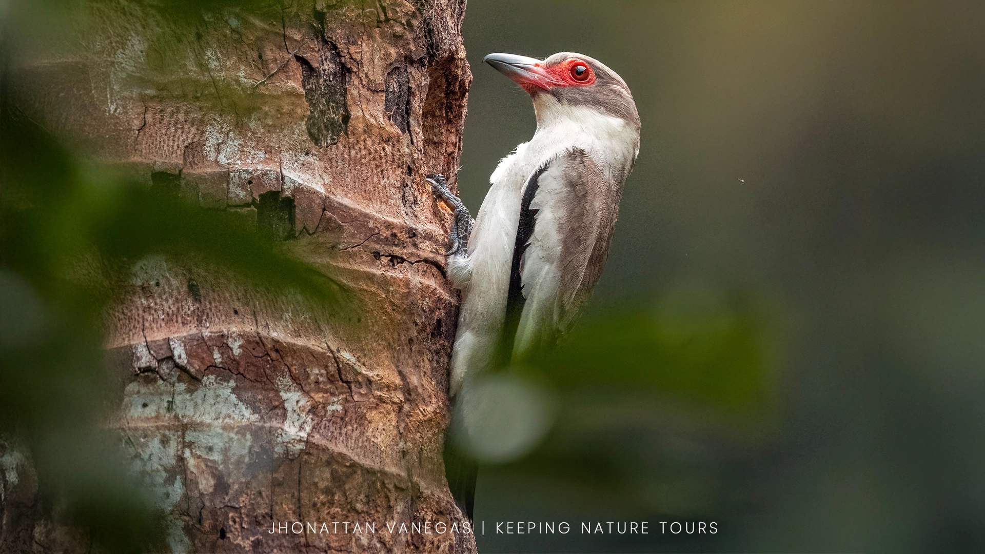 A wild bird photographed with controlled exposure and sharp focus