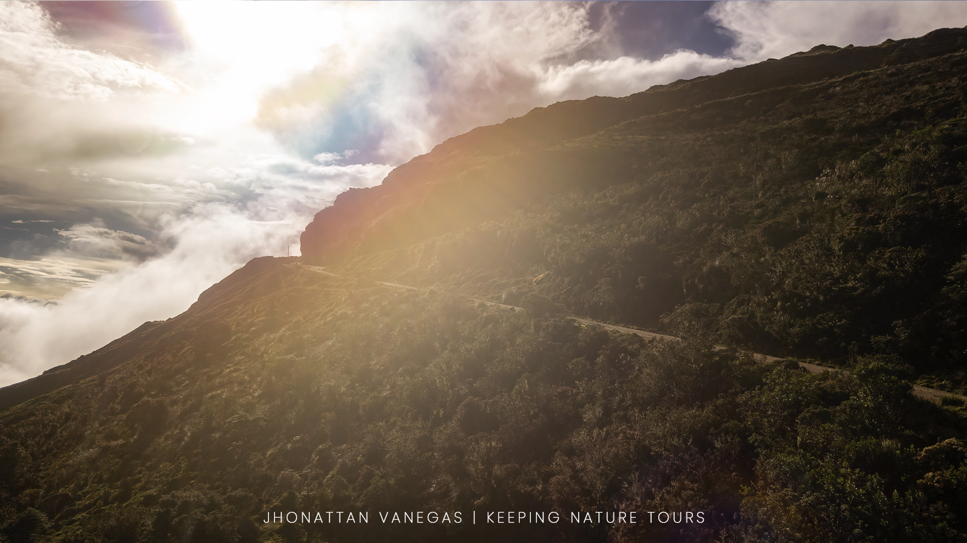 A nature landscape shaped by the direction and quality of the light