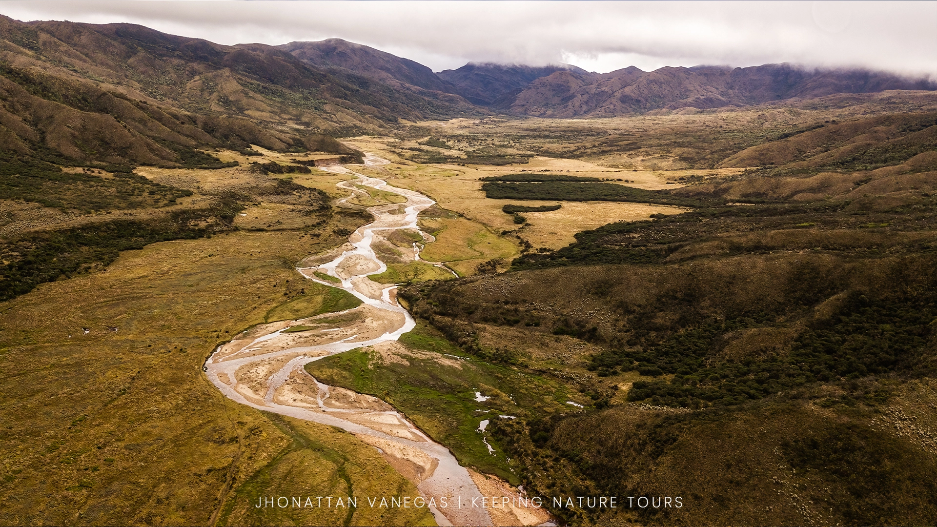 Wildlife photograph by Jhonattan Vanegas, landscape