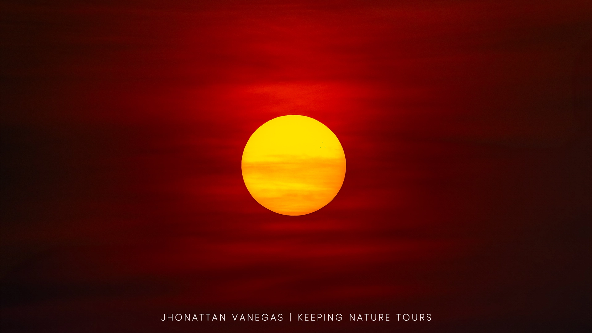 Wildlife photograph by Jhonattan Vanegas, landscape