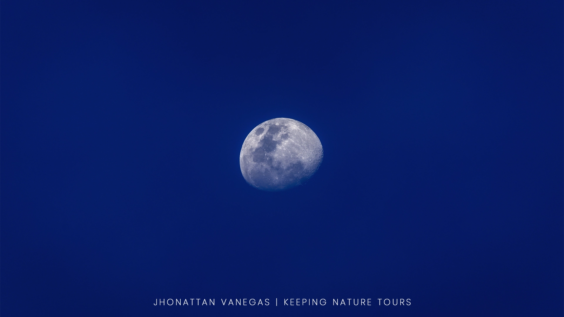 Wildlife photograph by Jhonattan Vanegas, landscape