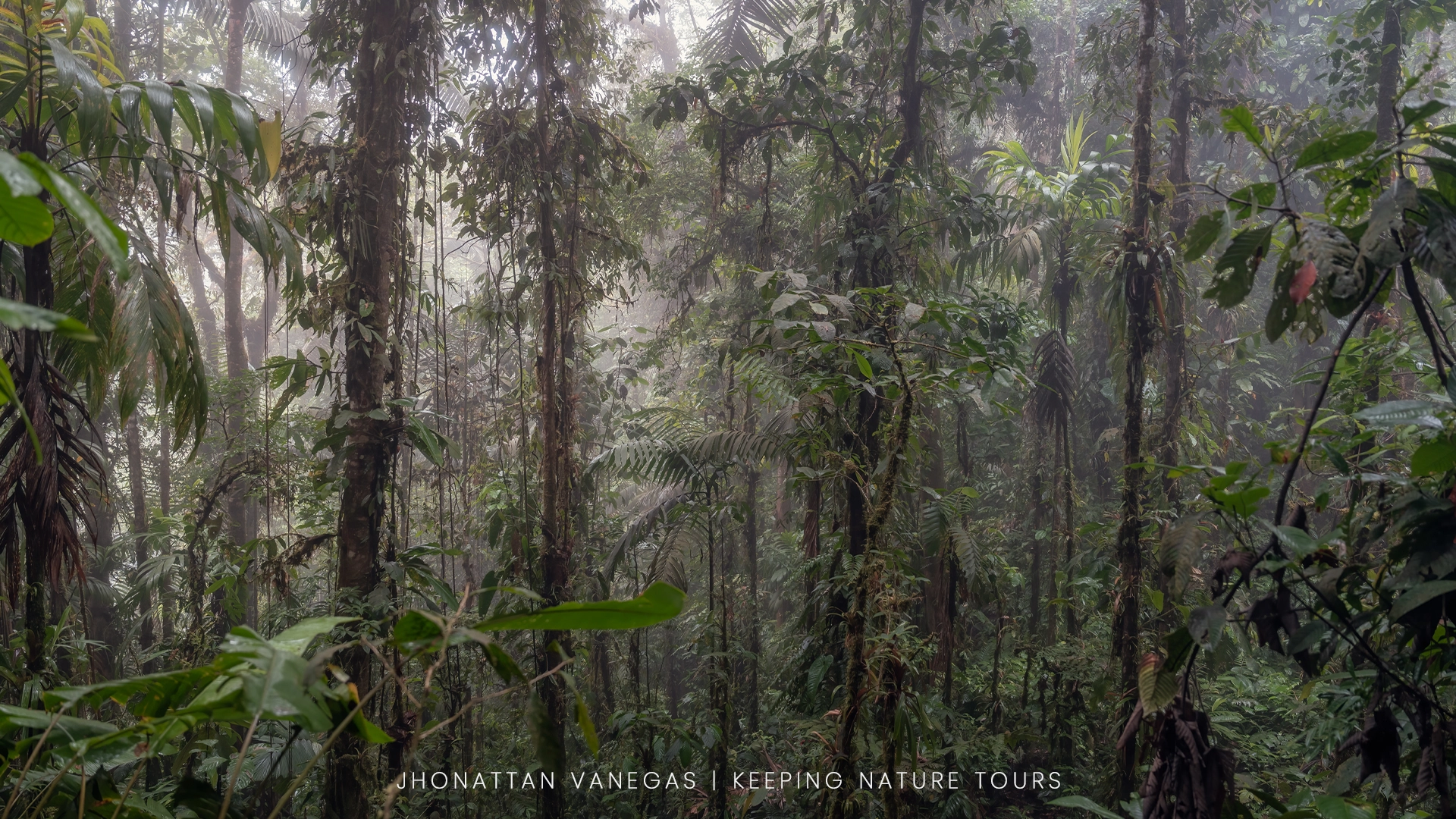 Wildlife photograph by Jhonattan Vanegas, landscape