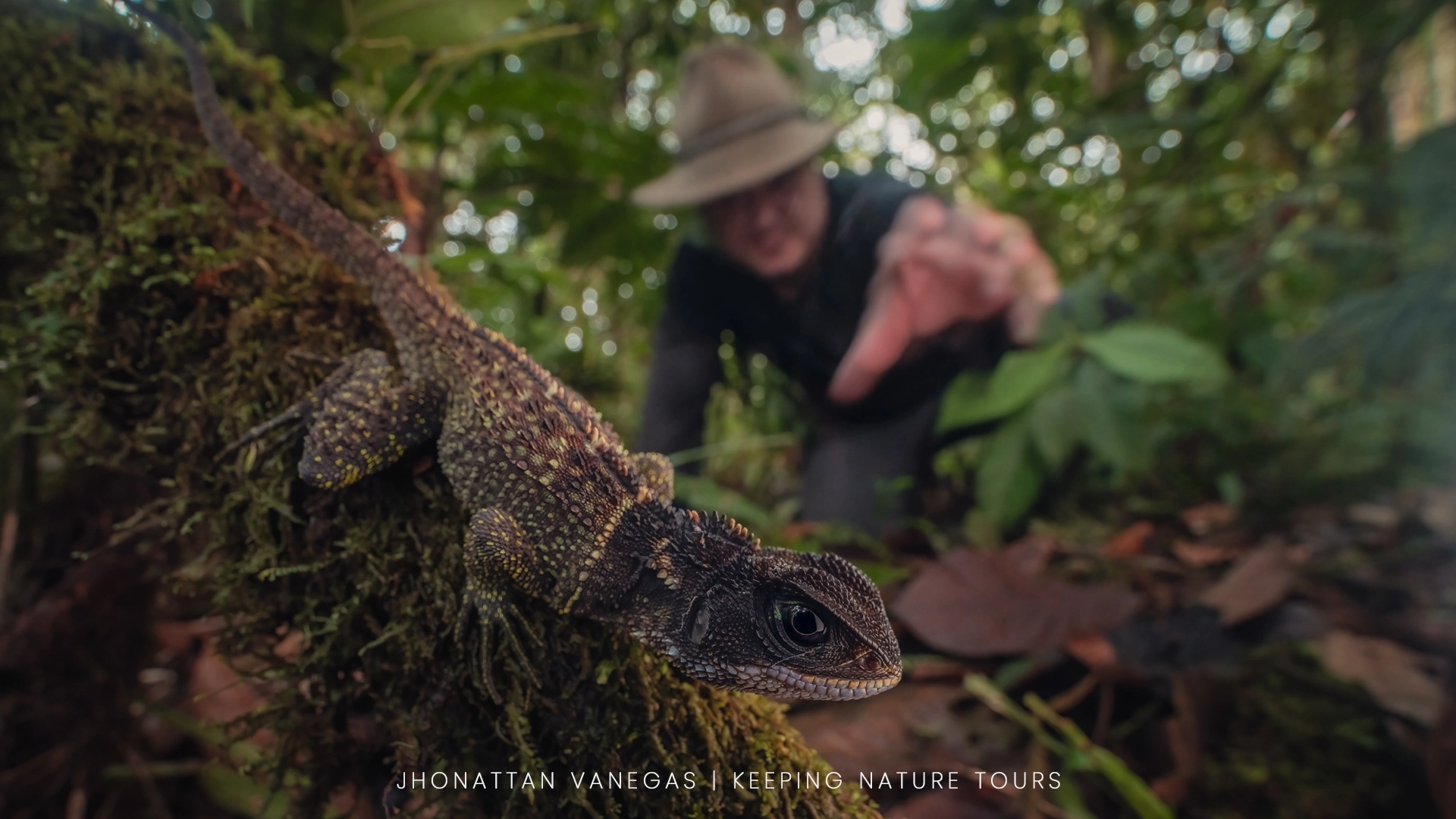 Wildlife photograph by Jhonattan Vanegas, portrait