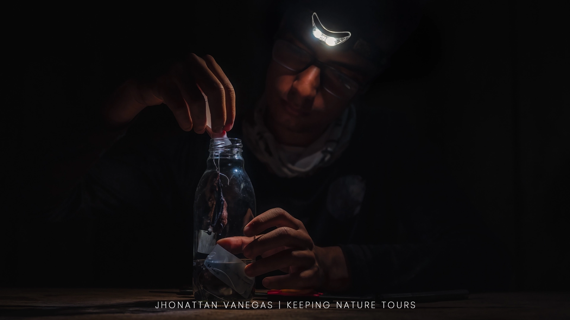Wildlife photograph by Jhonattan Vanegas, portrait